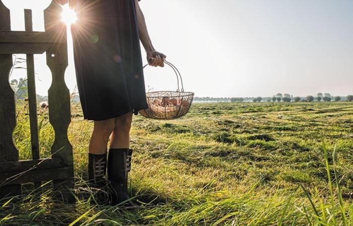 克拉亨堡Bed En Brood In De Kapschuur - Boerderij De Zuiderkrib住宿加早餐旅馆 外观 照片